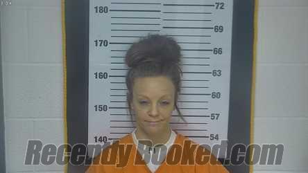 Recent Mugshot Image for CASEY M JESSEE in Ottawa County, Ohio