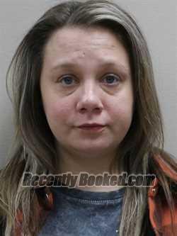 Recent Mugshot Image for HEATHER L BAKOWSKI in Paulding County, Ohio