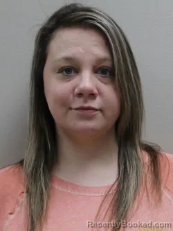 Recent Mugshot Image for HEATHER LESHEA BAKOWSKI in Paulding County, Ohio