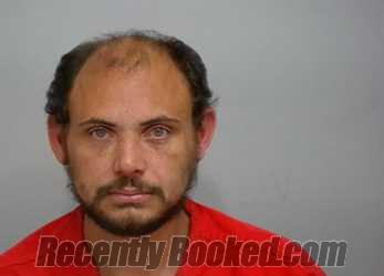 Recent Mugshot Image for BRADLEY EDWARD LOGAN in Pickaway County, Ohio