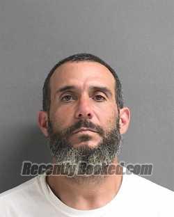 Recent Booking / Mugshot for HENRY RUIZ in Volusia County, Florida