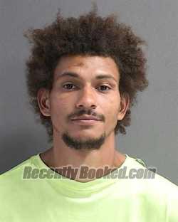 Recent Mugshot Image for WALTER HARLEY HASLAM in Volusia County, Florida
