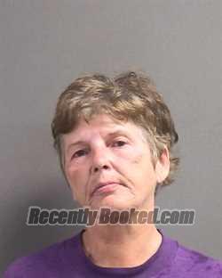 Recent Mugshot Image for LAURA ANN LESHNER in Volusia County, Florida