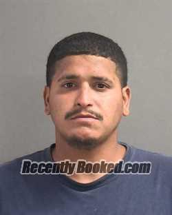 Recent Mugshot Image for MATTHEW ANGEL RODRIGUEZ in Volusia County, Florida