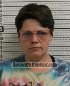 Recent Mugshot Image for BOBBI JO HARMON in Ross County, Ohio