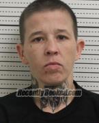 Recent Mugshot Image for APRIL MARIE WILBANKS in Ross County, Ohio