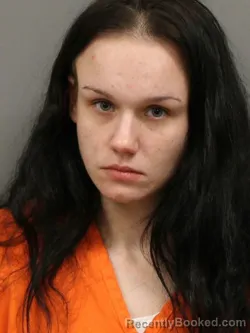Recent Mugshot Image for TAYLOR ANN GOINGS in Shelby County, Ohio