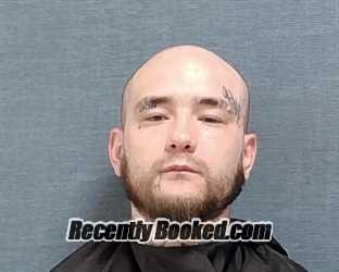 Recent Mugshot Image for DAVID ALAN NELSON in Stark County, Ohio