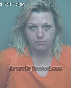 Recent Mugshot Image for KRISTEN LEE CHATHAM in Wakulla County, Florida