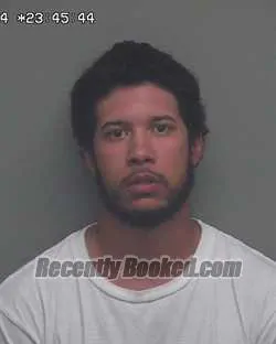 Recent Mugshot Image for DONTAVIOUS DARNELL WHITE in Wakulla County, Florida