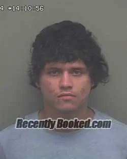 Recent Mugshot Image for DEVIN DEWAYNE GRAVES in Wakulla County, Florida