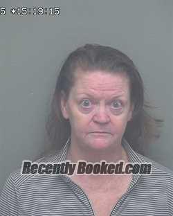 Recent Mugshot Image for SHANNON MARY THOMAS in Wakulla County, Florida