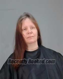 Recent Mugshot Image for NICHOLE MARIE MORRIS in Summit County, Ohio