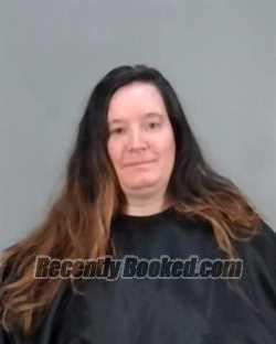 Recent Mugshot Image for LAURA LYNN FORD in Summit County, Ohio
