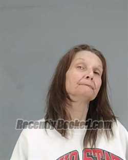 Recent Booking / Mugshot for JULIA LEE LAWSON in Summit County, Ohio