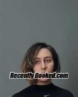 Recent Booking / Mugshot for NIKKI RENEE HUNTER in Summit County, Ohio