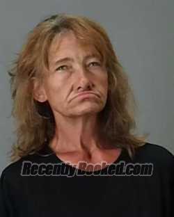 Recent Mugshot Image for STEPHANIE ANN MILLER in Summit County, Ohio