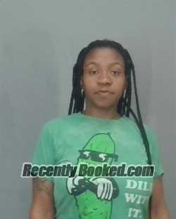 Recent Mugshot Image for MICHELLE SADE WRIGHT in Summit County, Ohio