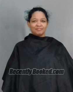 Recent Mugshot Image for JANET LOUISE MEEKS in Summit County, Ohio