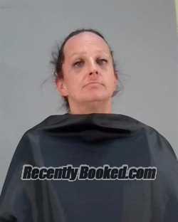 Recent Mugshot Image for DANA M WELKER in Summit County, Ohio