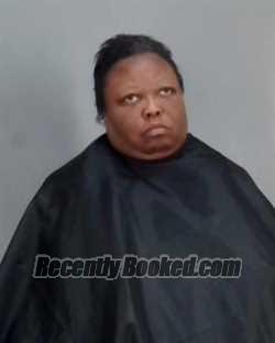 Recent Mugshot Image for MARLINA L HUNTER in Summit County, Ohio