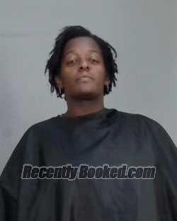 Recent Mugshot Image for CHARDEE DENISHA MARIE BARFIELD in Summit County, Ohio