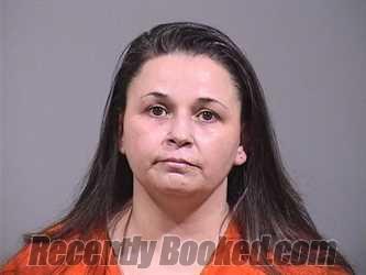 Recent Mugshot Image for JENNIFER MARIE STITZEL in Trumbull County, Ohio