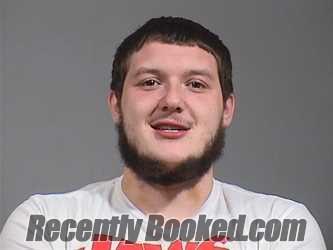 Recent Mugshot Image for LOGAN CHRISTOPHER BORK in Trumbull County, Ohio