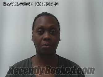 Recent Booking / Mugshot for CAMILLE ERVIN in Union County, Ohio