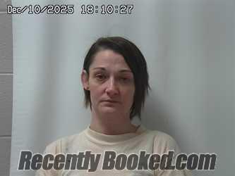 Recent Mugshot Image for JENNIFER LOWRY in Union County, Ohio