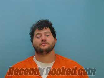 Recent Mugshot Image for NATHAN SCHROEDER in Van Wert County, Ohio