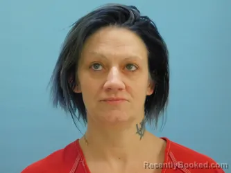 Recent Mugshot Image for APRIL LADD in Van Wert County, Ohio
