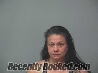 Recent Mugshot Image for NINA HOLCOMB in Wayne County, Ohio