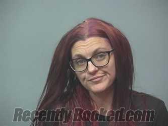 Recent Mugshot Image for DANIELLE ADAMS in Wayne County, Ohio