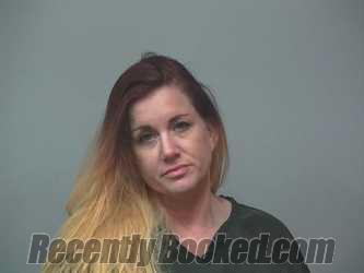 Recent Mugshot Image for BRANDI MILLARD in Wayne County, Ohio