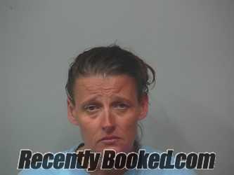 Recent Booking / Mugshot for STEPHANIE RANEY in Wayne County, Ohio