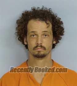 Recent Mugshot Image for DAVID CHRISTOPHER DRIVER in Walton County, Florida