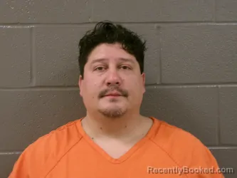 Recent Mugshot Image for MICHAEL ANTHONY HAASE in Wood County, Ohio