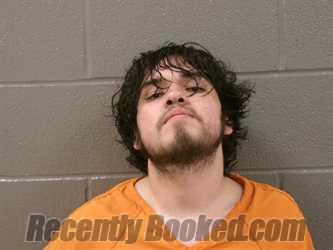 Recent Mugshot Image for NATHANIEL ALLEN WOODBY in Wood County, Ohio