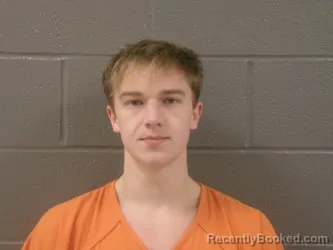 Recent Mugshot Image for REECE MICHAEL RYAN FRISCH in Wood County, Ohio