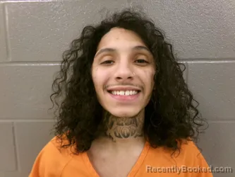 Recent Mugshot Image for ZANDER NIKOLAS MACLEAN in Wood County, Ohio