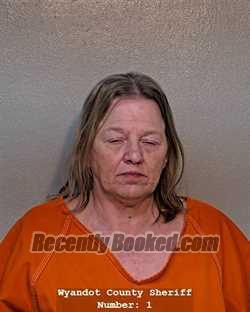 Recent Mugshot Image for CINDY YVONNE HOLCOMB in Wyandot County, Ohio