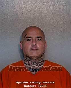 Recent Mugshot Image for TERRY EUGENE WORTHINGTON in Wyandot County, Ohio