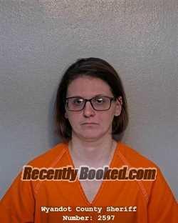 Recent Mugshot Image for MEGAN L THIEL in Wyandot County, Ohio