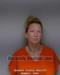 Recent Booking / Mugshot for AMBER JEAN TELLEZ in Wyandot County, Ohio
