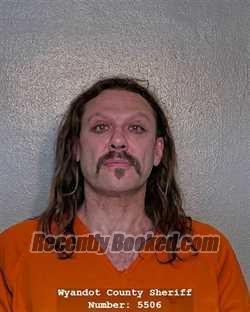 Recent Mugshot Image for JASON LEE MOLL in Wyandot County, Ohio