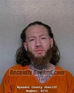 Recent Mugshot Image for JOSHUA AARON FRENZEL in Wyandot County, Ohio