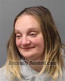 Recent Mugshot Image for NICHOLINA ANN HODGES in Berks County, Pennsylvania