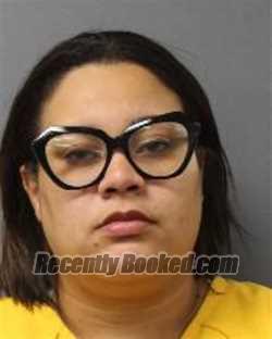 Recent Booking / Mugshot for CHEYLA MASSIEL RAMIREZ-DEHOLGUIN in Berks