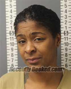 Recent Booking / Mugshot for NICOLE JANEESE ROOKS in Dauphin County ...